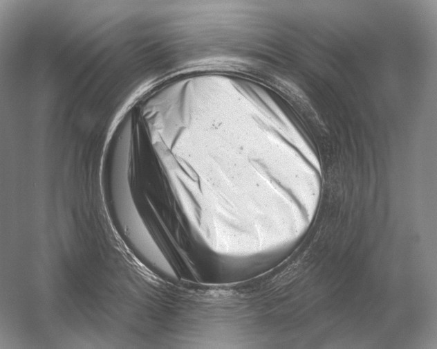 X0000054361180200508262307