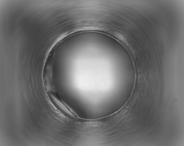 X0000054361181200508262307