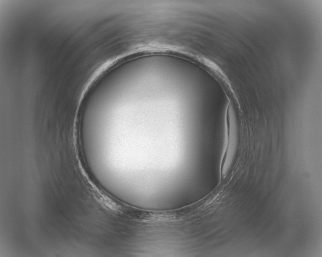 X0000054361183200508262307