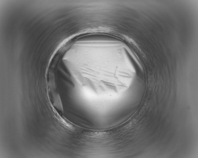 X0000054361184200508262307