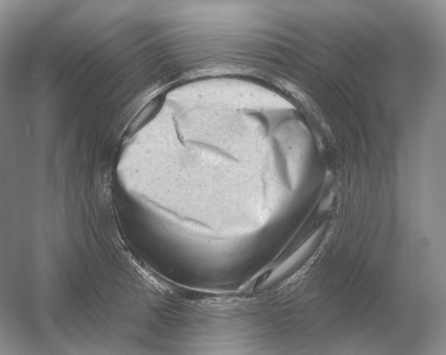 X0000054361185200508262307