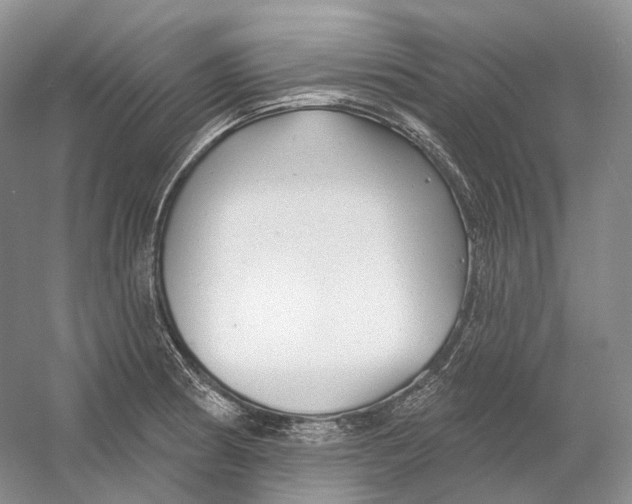 X0000054361186200508262307