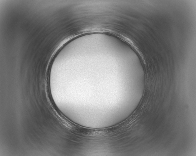X0000054361187200508262307