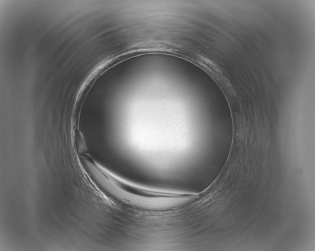X0000054361188200508262306