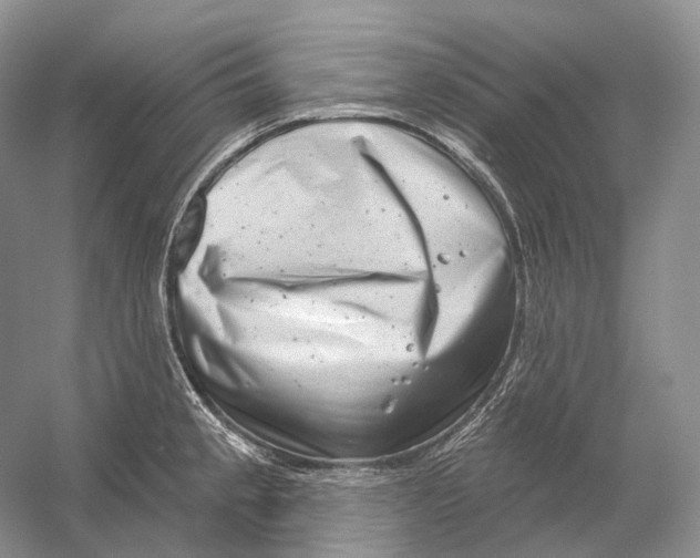 X0000054361189200508262306
