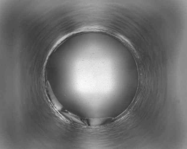 X0000054361192200508262306