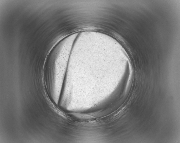 X0000054361194200508262306