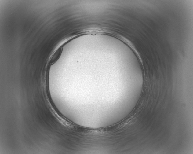 X0000054361195200508262306