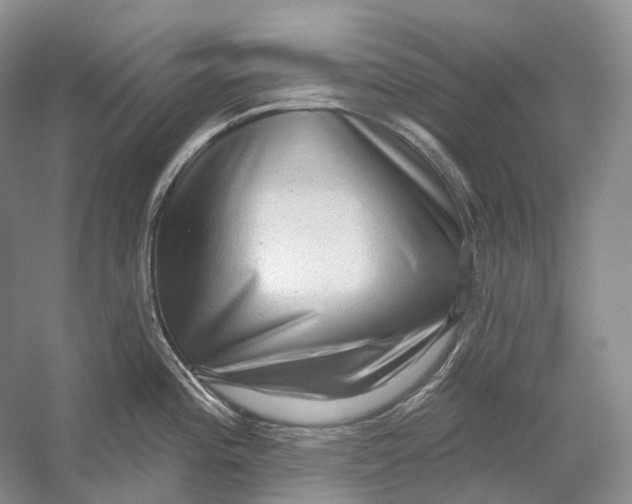 X0000054361196200508262306