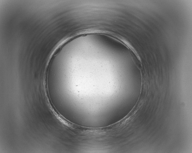 X0000054361197200508262306