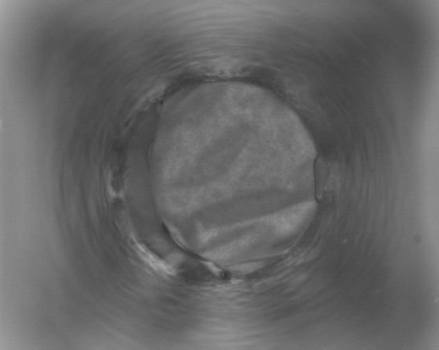 X0000054361202200508262305