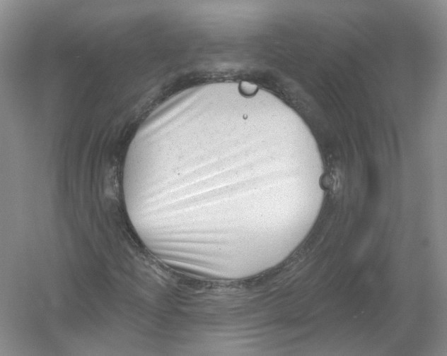 X0000054361204200508262306