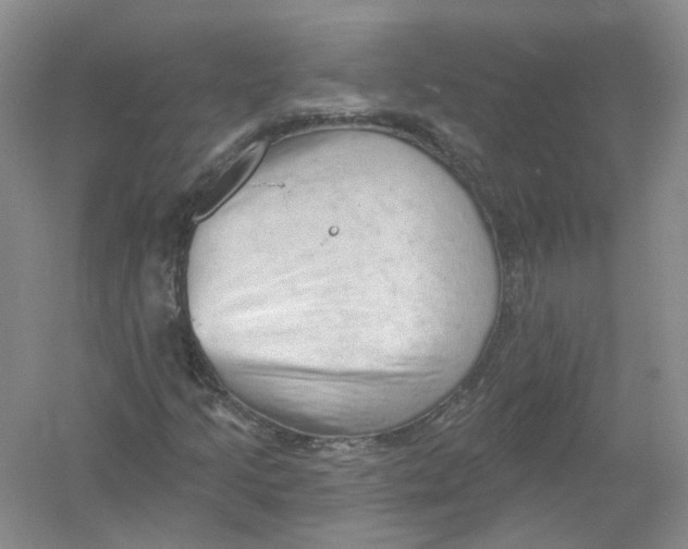 X0000054361205200508262306