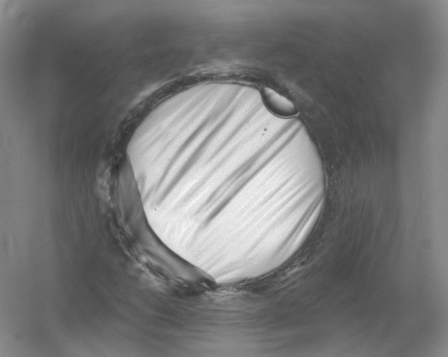 X0000054361206200508262306