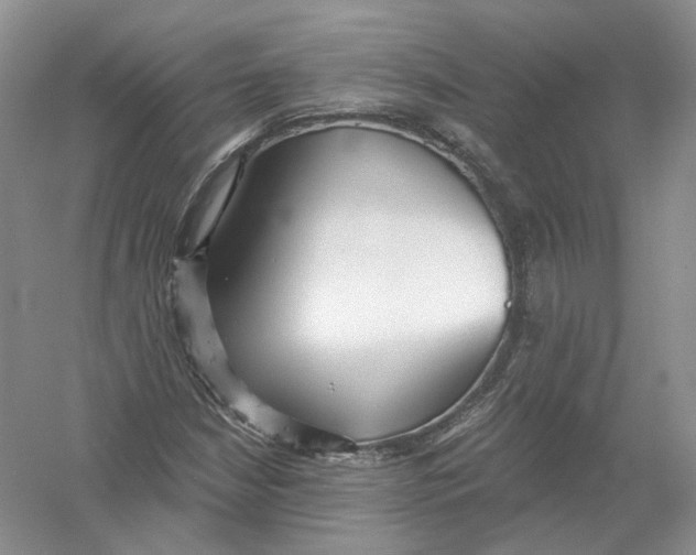 X0000054361210200508262306
