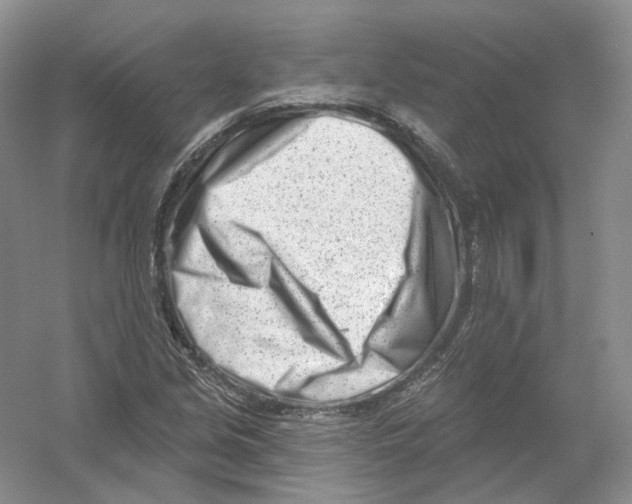 X0000054361213200508262306