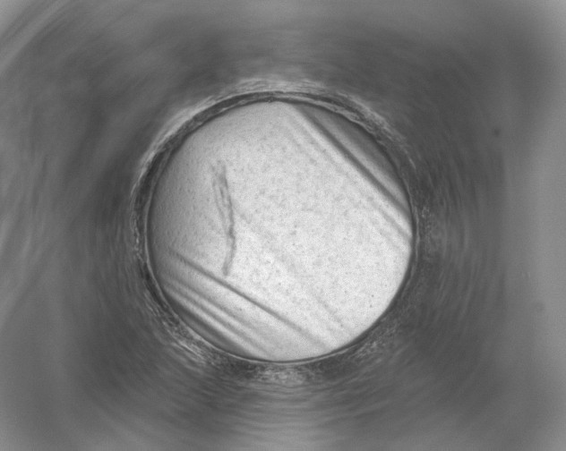 X0000054361215200508262306