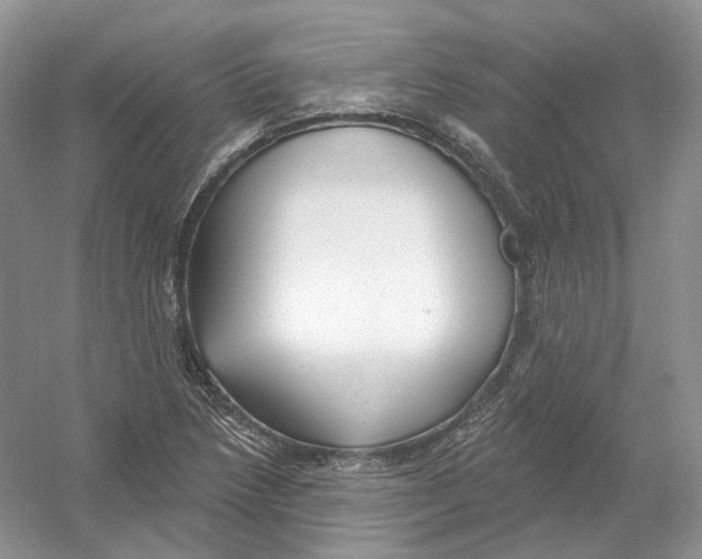 X0000054361218200508262306