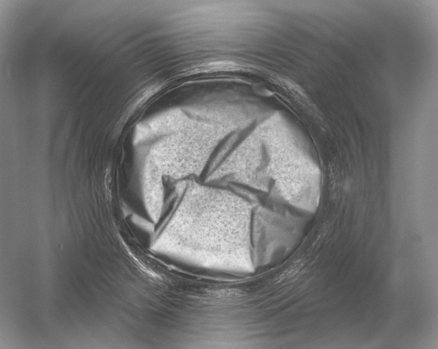 X0000054361225200508262306