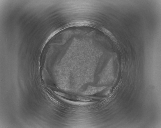 X0000054361226200508262306