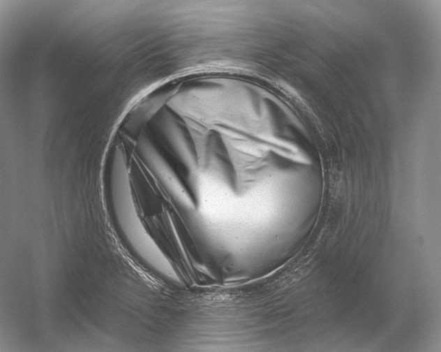 X0000054361230200508262306