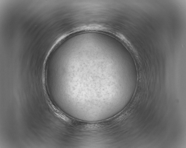 X0000054361232200508262306