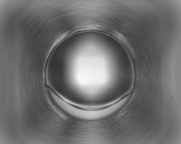 X0000054361234200508262306