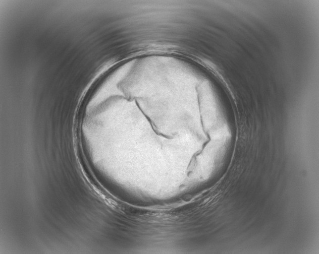 X0000054361235200508262306