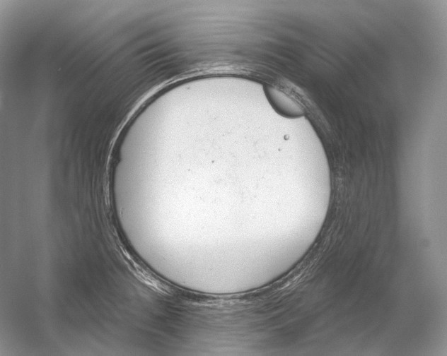 X0000054361236200508262306