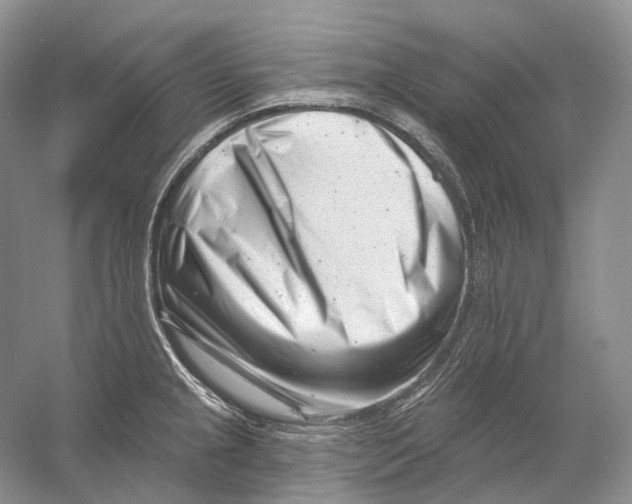 X0000054361237200508262306
