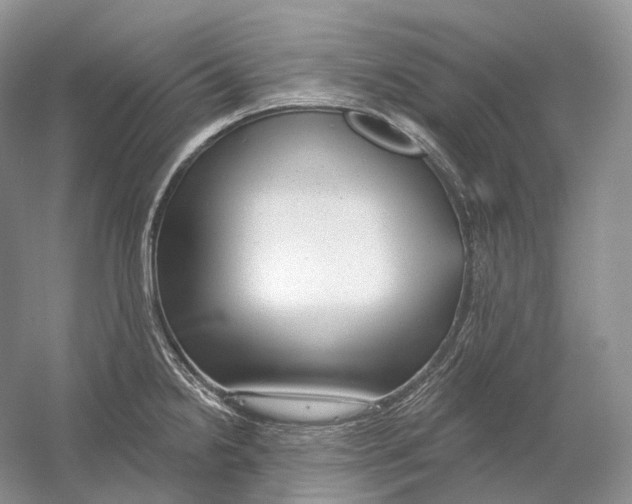 X0000054361238200508262306