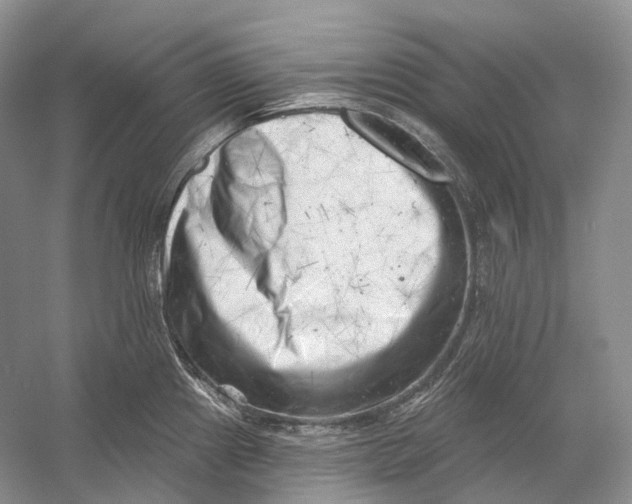 X0000054361241200508262306
