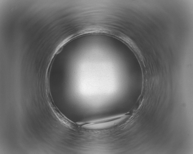 X0000054361242200508262306