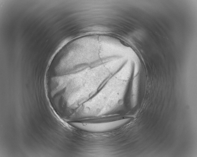 X0000054361243200508262306