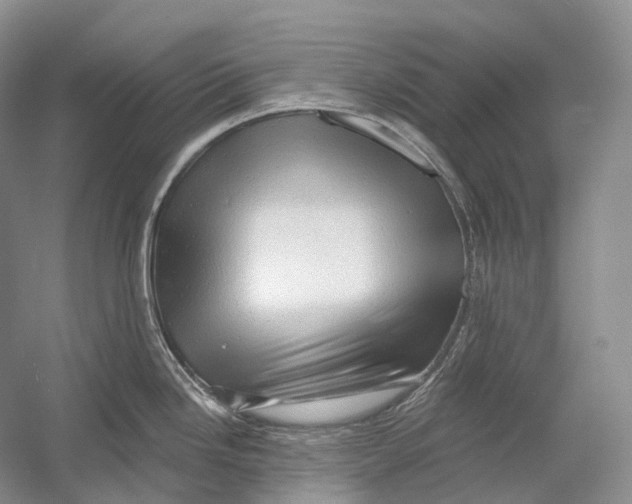 X0000054361246200508262306
