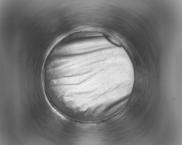X0000054361247200508262306