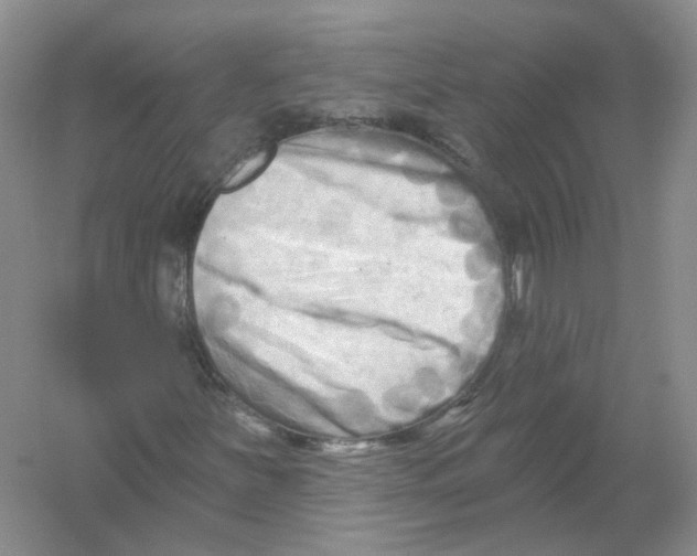 X0000054361251200508262305