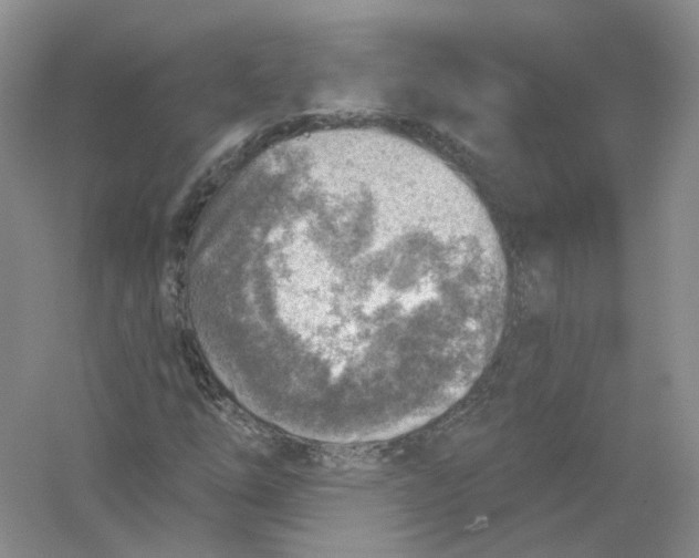 X0000054361254200508262305