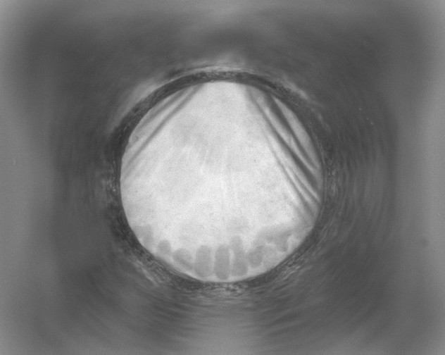 X0000054361255200508262305