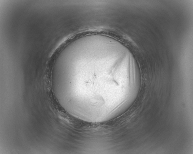 X0000054361256200508262305