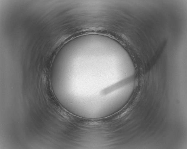 X0000054361257200508262305