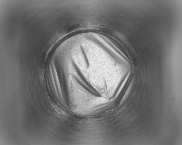 X0000054361260200508262305