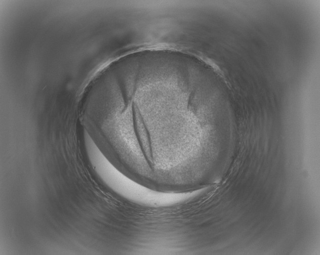 X0000054361263200508262305