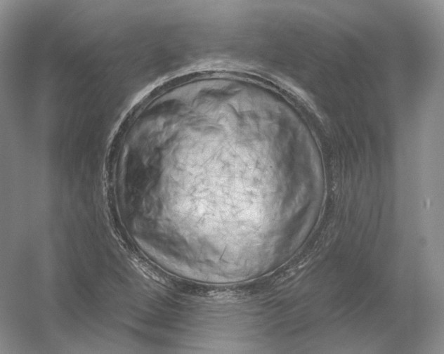 X0000054361264200508262305