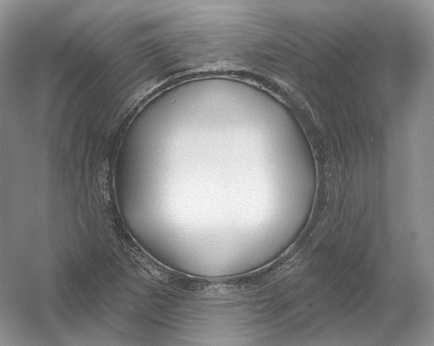 X0000054361265200508262305
