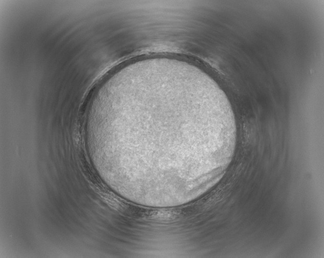 X0000054361266200508262305