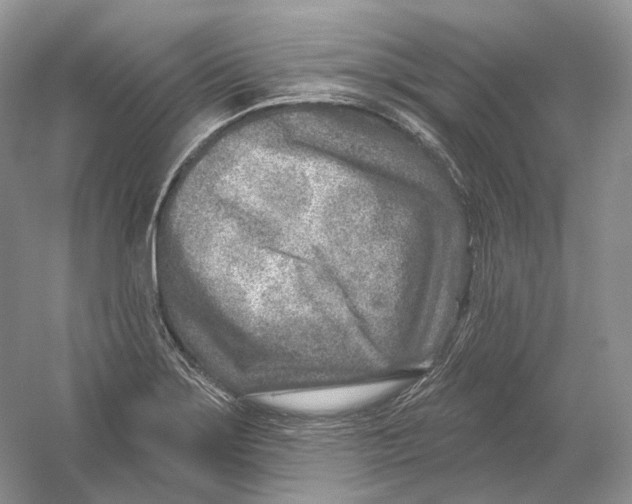 X0000054361275200508262305