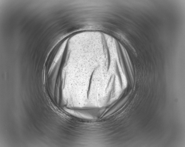 X0000054361276200508262305