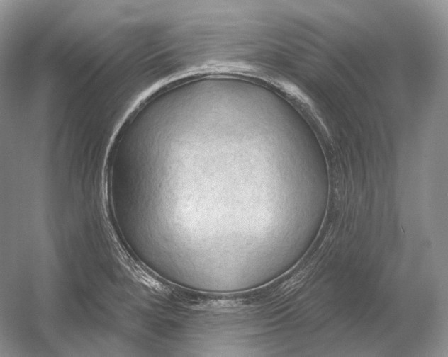 X0000054361280200508262305