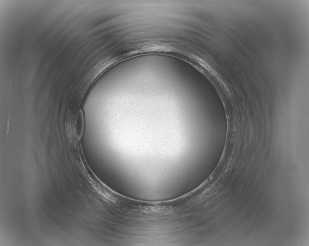 X0000054361281200508262305
